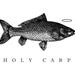 Holy Carp Notecard Set of 6