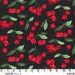 Michael Miller My Cherry Black Fabric- By the Yard