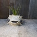 little, stoneware Fugu bud vase/airplant pot