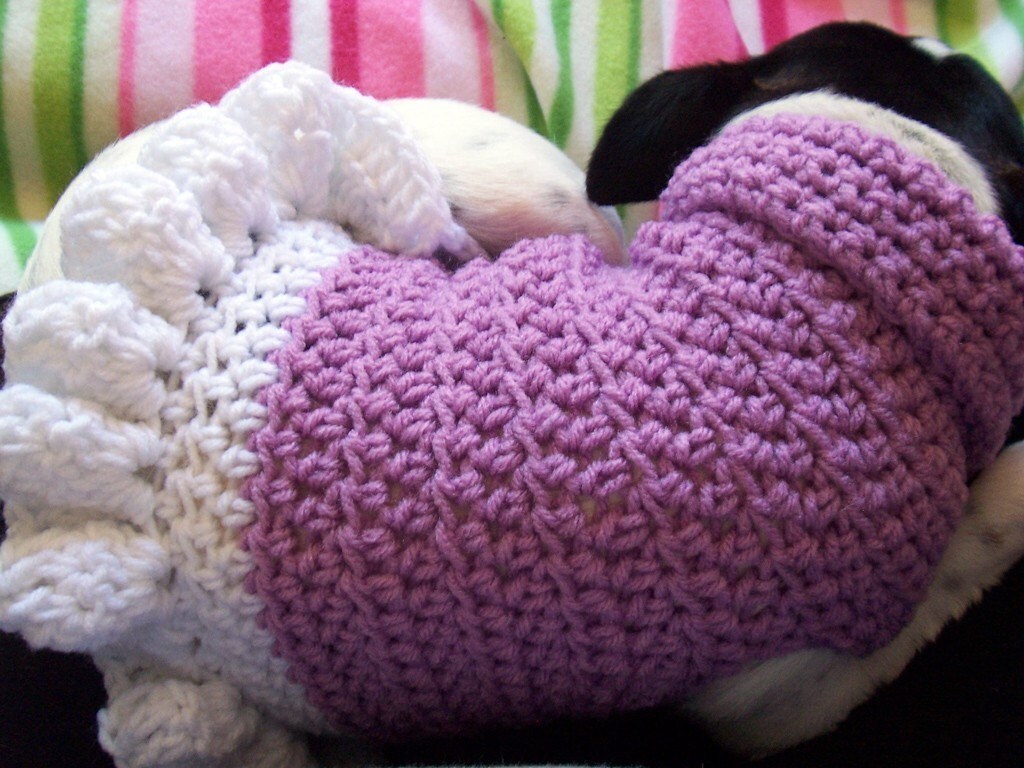 Crochet Collared Dog Dress Pattern PDF Extra Small Small
