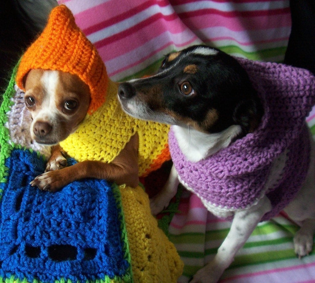 Crocheted Hooded Dog Sweater Pattern PDF Small and Medium