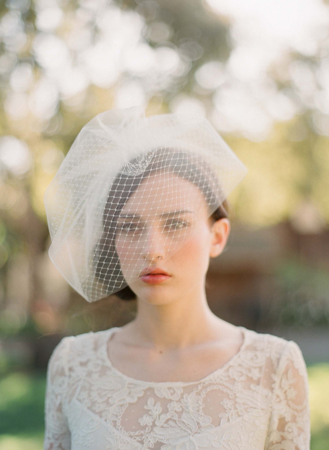 Bridal birdcage veil Double layer full birdcage veil by myrakim