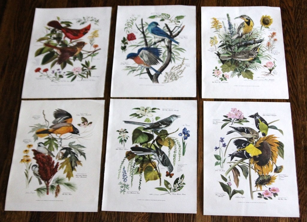 Set of Six Arthur Singer Bird Prints