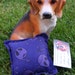 Ride with the moon in the dead of night, Purple Nightmare Before Christmas Jack face themed squeaker square dog toy.