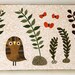 Owl On the Forest Floor