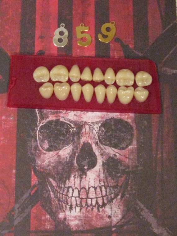 16-individual-fake-dental-teeth