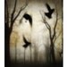 Gothic Crows and Trees photograph - At dusk - Surreal art-Photo
