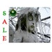 HALF PRICE ice veil