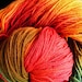 MAPLE WOOD Handpainted Merino Wool Sock Yarn Fingering Weight