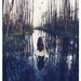 Raven Call - 8x12 Inch Print, FREE WORLDWIDE SHIPPING