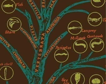 tree of life biology