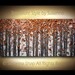 ORIGINAL Large Abstract Copper Birch Trees Impasto Landscape Heavy Textured Modern Palette Knife Painting by Susanna Ready to Hang 48x24