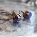 NEW Natural Amethyst Umbrella Pendulums
