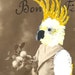 Bonne Fete Cockatoo Hand Painted Altered Vintage French Photo Postcard