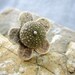 Sea Urchin Collection- Green Flower Ring