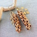 Back To Nature- Earrings Made with Seedpods and Vintage Brass Leaves