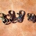 Swivel Clip - Pet Tag Add On for A Quick Change