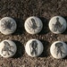 more pinback buttons of octopi