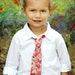 Mens Neckties Boys Necktie Me and Matilda Everyday Necktie Watermelon Paisley
