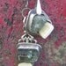 Sweet Tooth Necklace Made With Fake Teeth And Tourmaline