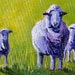 Sheep, Small Original Oil Painting, Portrait, 5x7