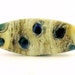 Peacock Dots on Sandstone Lampwork Bead Focal SRA