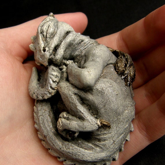 Sleeping Baby Dragon