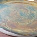 coiled shino snake -- illustrated plate