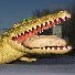 dashboardalligator