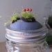 Moss Jar 3