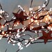 IVORY Pipberry Garland Rusty stars with Teeny lights holiday mantle decor