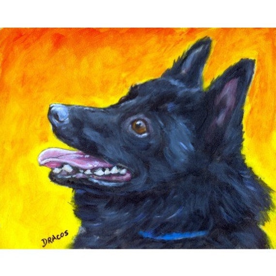 Schipperke Dog Art Print of Original Painting by by DottieDracos