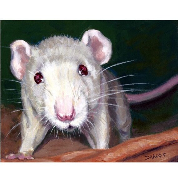 Rat Animal Art Original Painting by Dottie Dracos by DottieDracos