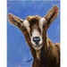 Goat Farm Animal Art 8x10 Original Painting by Dottie Dracos, Toggenburg Dairy Goat Portrait
