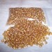 Gold Seed Beads 50gram Bag