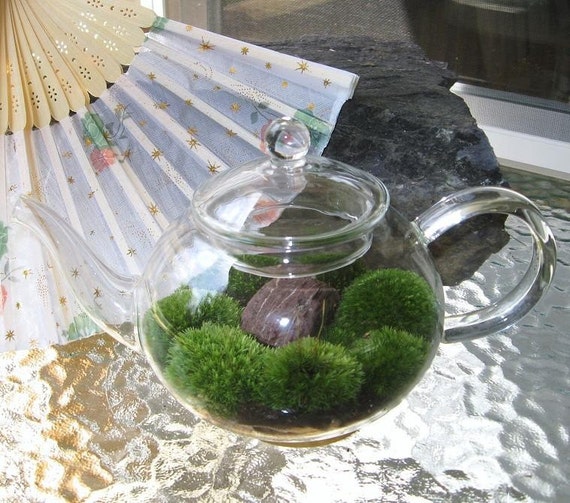 Glass Teapot Terrarium Little Zen Garden with Mounds of