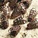 Antique copper cone shape filigree bead cap 16x12mm, pk 8 (item ID B0528ACBC16x12)(assortable)
