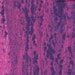 Fabric -- Brown Bear by Eric Carle -- Purple Paint (fd002) -- 1.5 yards