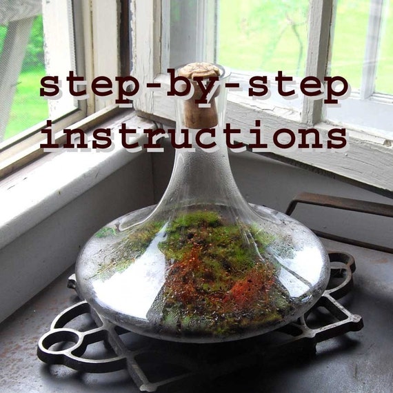  terrarium instructions pdf how to