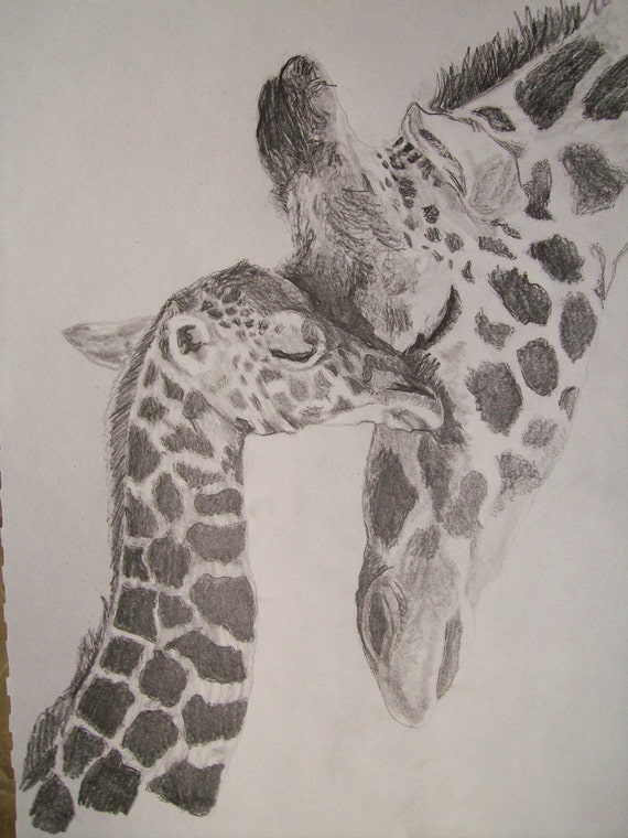 Giraffe Portrait Pencil Sketch 9 x 12 inch U Provide by pigatopia