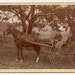 On Reserve for Dale Exceptional Rare Cabinet Card Outdoor Scene of a Man and Woman in their Horse Drawn Wagon 1880s, 1890s, 1900s, 1910s