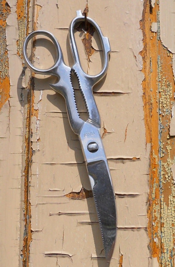 vintage Chrome scissors Made in Italy