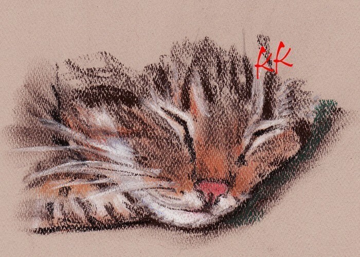 ACEO PRINT Brown Tabby Cat Pastel Drawing by OneKeeneKat on Etsy