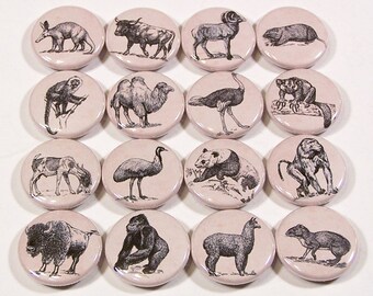 Vintage Animal Ephemera Drawings 1 Inch Pinback Buttons - Set of Six (6)