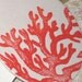 Coral Coasters (Letterpress) set of eight