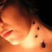 SPIDER Temporary Tattoos (Set of 5)