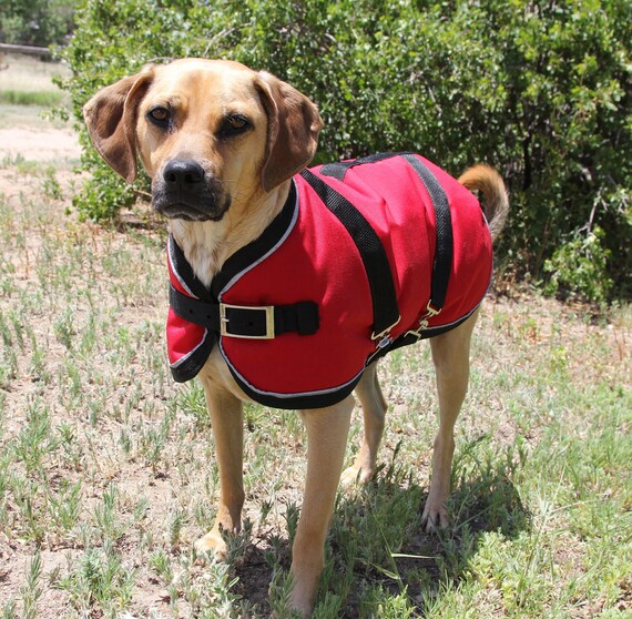 Winter Dog Coat size 19 Horse Blanket style with metal