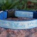 Prince - adjustable dog collar - Male Dog
