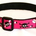 HOT HOT HOT pink pUnK RocK Dog Collar