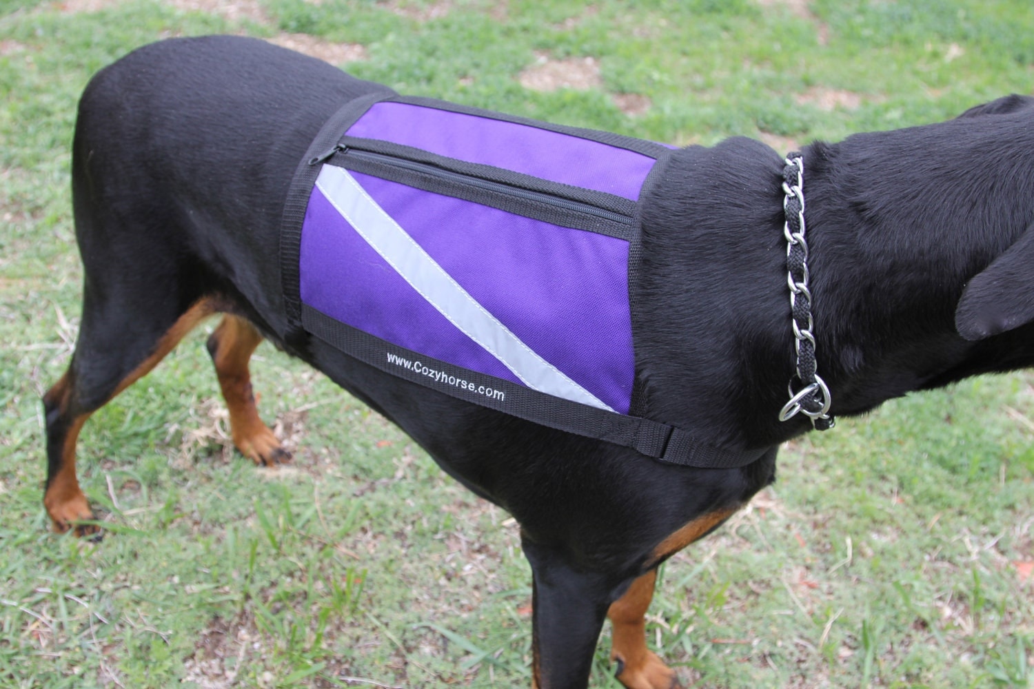 PURPLE Service Dog Vest Therapy Dog High Visibility Dog